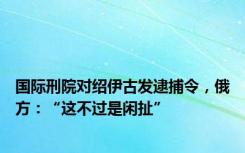 国际刑院对绍伊古发逮捕令，俄方：“这不过是闲扯”