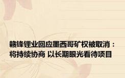 赣锋锂业回应墨西哥矿权被取消：将持续协商 以长期眼光看待项目