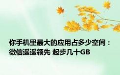 你手机里最大的应用占多少空间：微信遥遥领先 起步几十GB