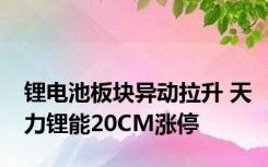 锂电池板块异动拉升 天力锂能20CM涨停