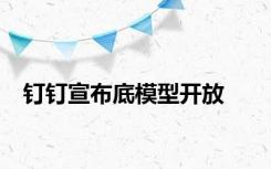 钉钉宣布底模型开放