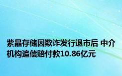 紫晶存储因欺诈发行退市后 中介机构追偿赔付款10.86亿元