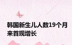 韩国新生儿人数19个月来首现增长