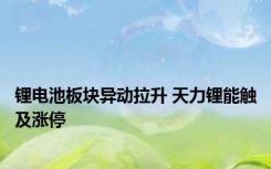 锂电池板块异动拉升 天力锂能触及涨停