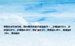 财联社6月26日电，国内期货夜盘开盘涨跌不一，沪铜涨0.51%，沪锌涨2.27%，沪银跌0.44%，铁矿涨近2%，焦煤涨1.25%，玻璃涨0.78%，原油跌0.