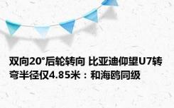 双向20°后轮转向 比亚迪仰望U7转弯半径仅4.85米：和海鸥同级