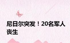 尼日尔突发！20名军人丧生