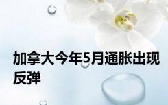 加拿大今年5月通胀出现反弹