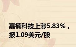 嘉楠科技上涨5.83%，报1.09美元/股