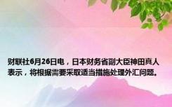 财联社6月26日电，日本财务省副大臣神田真人表示，将根据需要采取适当措施处理外汇问题。