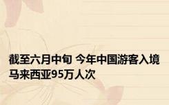 截至六月中旬 今年中国游客入境马来西亚95万人次