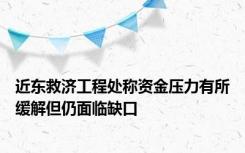 近东救济工程处称资金压力有所缓解但仍面临缺口