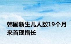 韩国新生儿人数19个月来首现增长