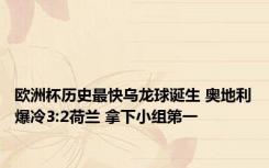 欧洲杯历史最快乌龙球诞生 奥地利爆冷3:2荷兰 拿下小组第一