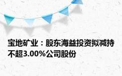 宝地矿业：股东海益投资拟减持不超3.00%公司股份