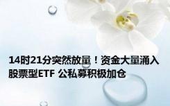 14时21分突然放量！资金大量涌入股票型ETF 公私募积极加仓