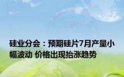 硅业分会：预期硅片7月产量小幅波动 价格出现抬涨趋势