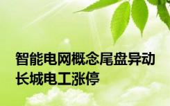 智能电网概念尾盘异动 长城电工涨停