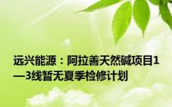 远兴能源：阿拉善天然碱项目1—3线暂无夏季检修计划