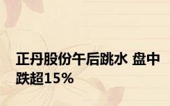 正丹股份午后跳水 盘中跌超15%