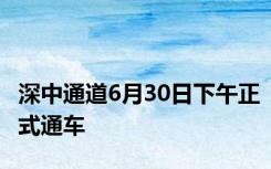 深中通道6月30日下午正式通车