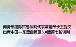 商务部国际贸易谈判代表兼副部长王受文出席中国—东盟自贸区3.0版第七轮谈判