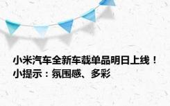 小米汽车全新车载单品明日上线！小提示：氛围感、多彩