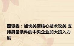 国资委：加快关键核心技术攻关 支持具备条件的中央企业加大投入力度