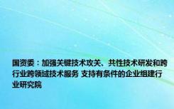 国资委：加强关键技术攻关、共性技术研发和跨行业跨领域技术服务 支持有条件的企业组建行业研究院