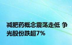 减肥药概念震荡走低 争光股份跌超7%