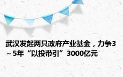 武汉发起两只政府产业基金，力争3～5年“以投带引”3000亿元