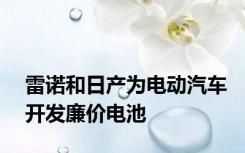 雷诺和日产为电动汽车开发廉价电池