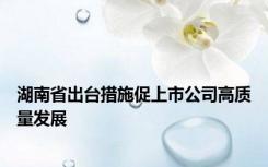 湖南省出台措施促上市公司高质量发展