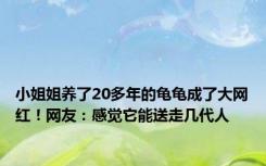 小姐姐养了20多年的龟龟成了大网红！网友：感觉它能送走几代人