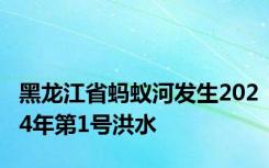 黑龙江省蚂蚁河发生2024年第1号洪水