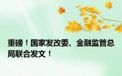 重磅！国家发改委、金融监管总局联合发文！