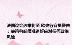 法国议会选举将至 欧央行官员警告：决策者必须准备好应对任何政治风险