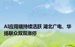 AI应用端持续活跃 湖北广电、华扬联众双双涨停