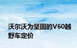 沃尔沃为坚固的V60越野车定价