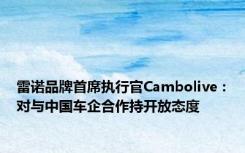 雷诺品牌首席执行官Cambolive：对与中国车企合作持开放态度