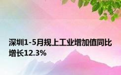 深圳1-5月规上工业增加值同比增长12.3%