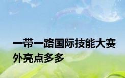 一带一路国际技能大赛外亮点多多