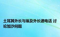 土耳其外长与埃及外长通电话 讨论加沙问题