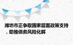 潍坊市正争取国家层面政策支持，助推债务风险化解