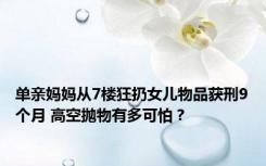 单亲妈妈从7楼狂扔女儿物品获刑9个月 高空抛物有多可怕？