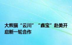 大熊猫“云川”“鑫宝”赴美开启新一轮合作