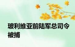 玻利维亚前陆军总司令被捕