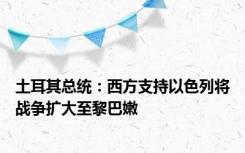 土耳其总统：西方支持以色列将战争扩大至黎巴嫩