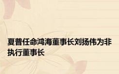 夏普任命鸿海董事长刘扬伟为非执行董事长