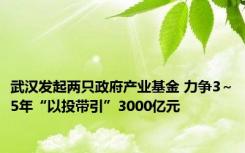 武汉发起两只政府产业基金 力争3～5年“以投带引”3000亿元